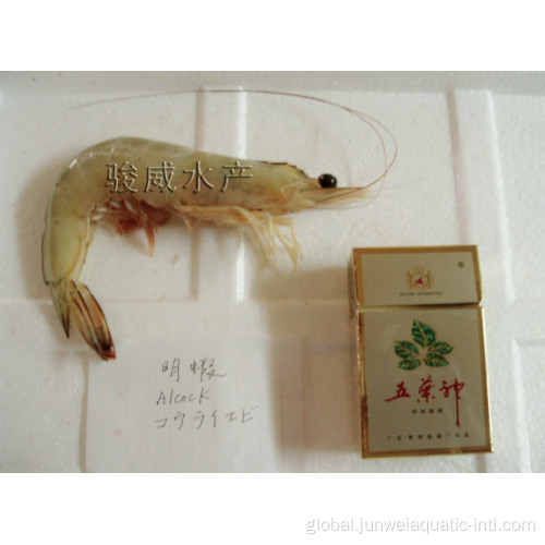 Fresh Prawn Fresh frozen alock prawn Supplier